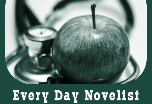 Every Day Novelist Update